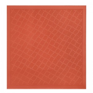 Longchamp Le Roseau Shawl Paprika | 3076JFXKZ