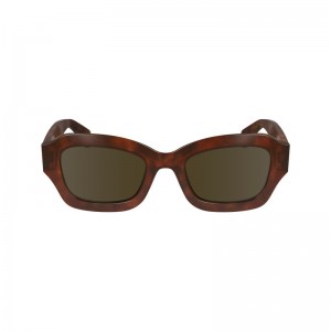 Longchamp Sunglasses Braun | 3815OQZXG