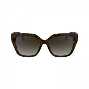 Longchamp Sunglasses Dunkel | 9746ZJVXS
