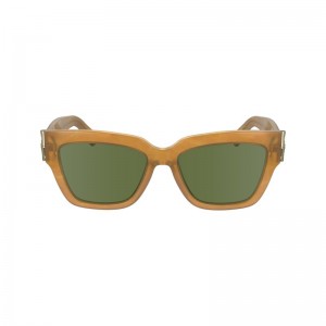 Longchamp Sunglasses Honey | 2186BSCOG