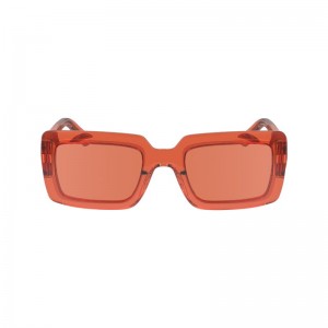 Longchamp Sunglasses Orange | 0627TPSRD