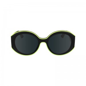 Longchamp Sunglasses Schwarz | 1258FTSEJ