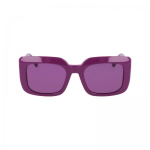 Longchamp Sunglasses Weiß | 6752TJIMX